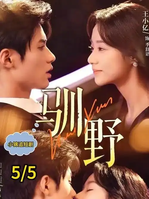 狂飙电视剧封面